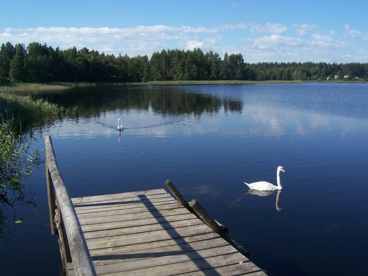 Domwigierski Pl -Jeziorki -Gr- Comfort-Ferienhaus-Polen - Wlasna Linia Brzegowa I Sauna Wysoki Most  외부 사진